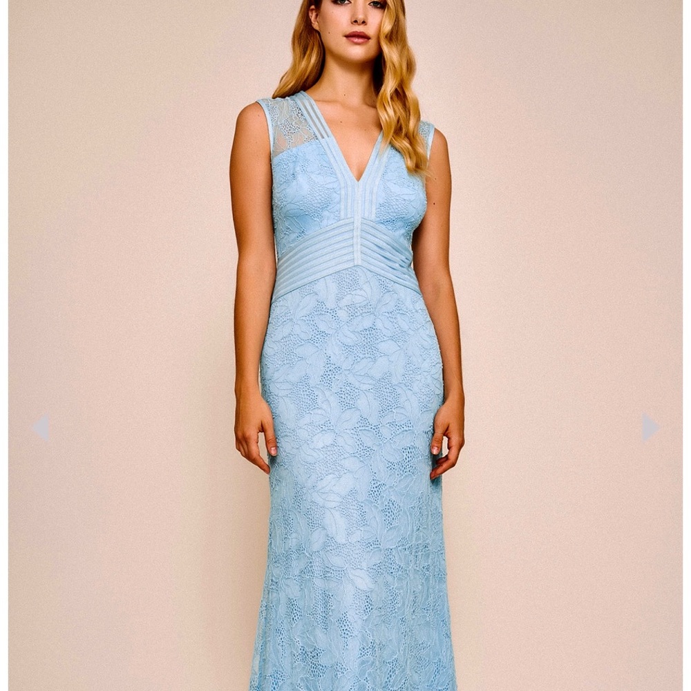 Tadashi Shoji Caron Corded Lace Evening Gown Crystal Blue NWT Sz 8

BIN 1